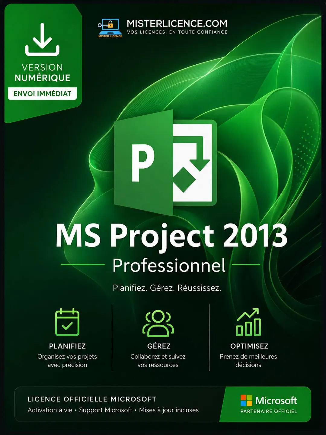 Ms Project 2013 Pro 5 PC