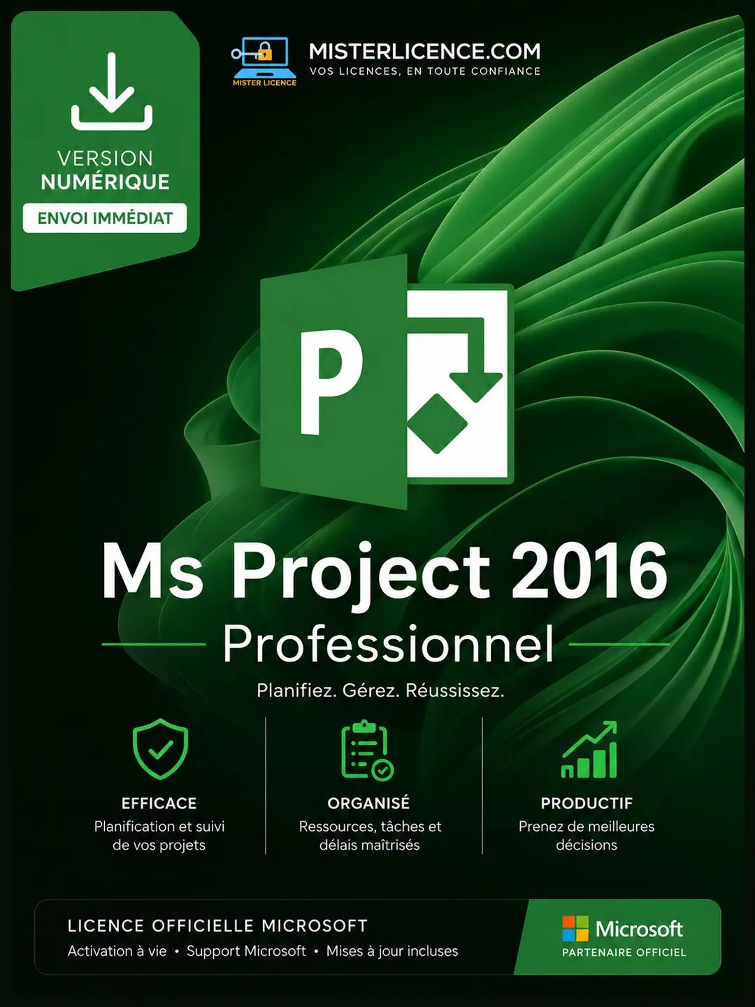 Ms Project 2016 Pro - Bind