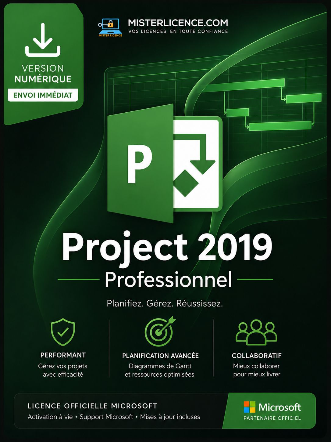 Ms Project 2019 Pro - Bind - Licence authentique