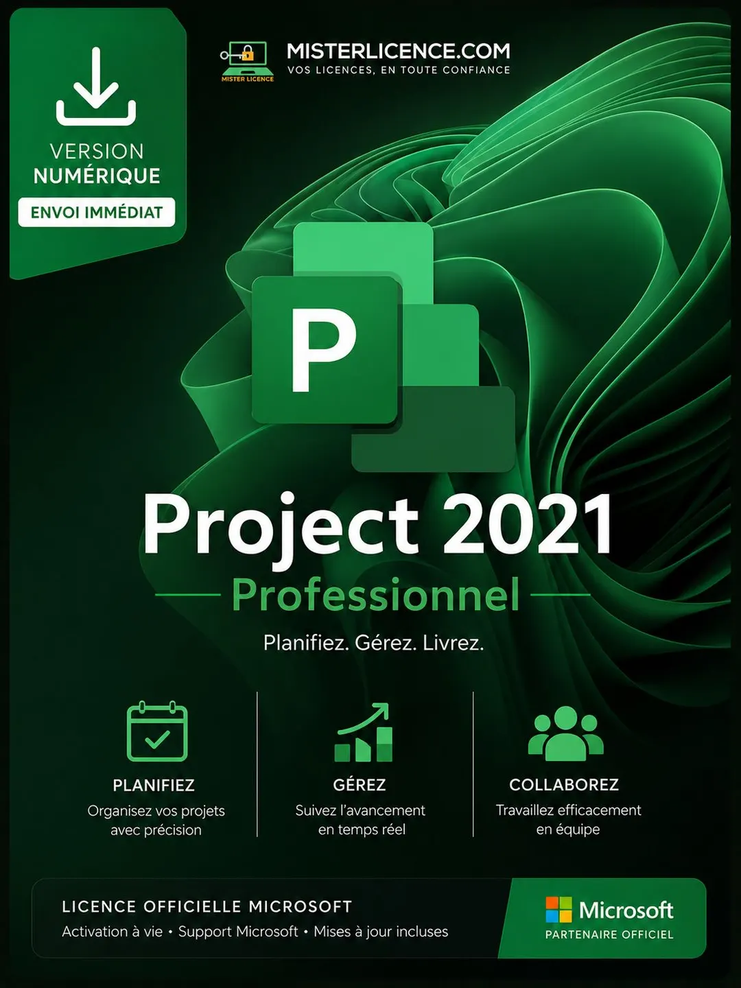 Ms Project 2021 Pro - Bind