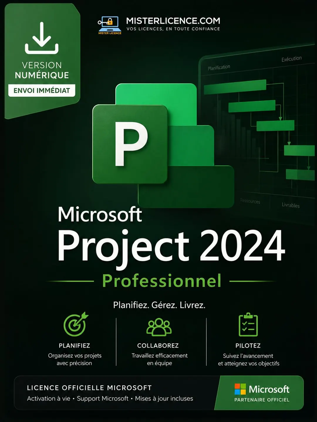Ms Project 2024 Pro - Bind - Image principale du produit