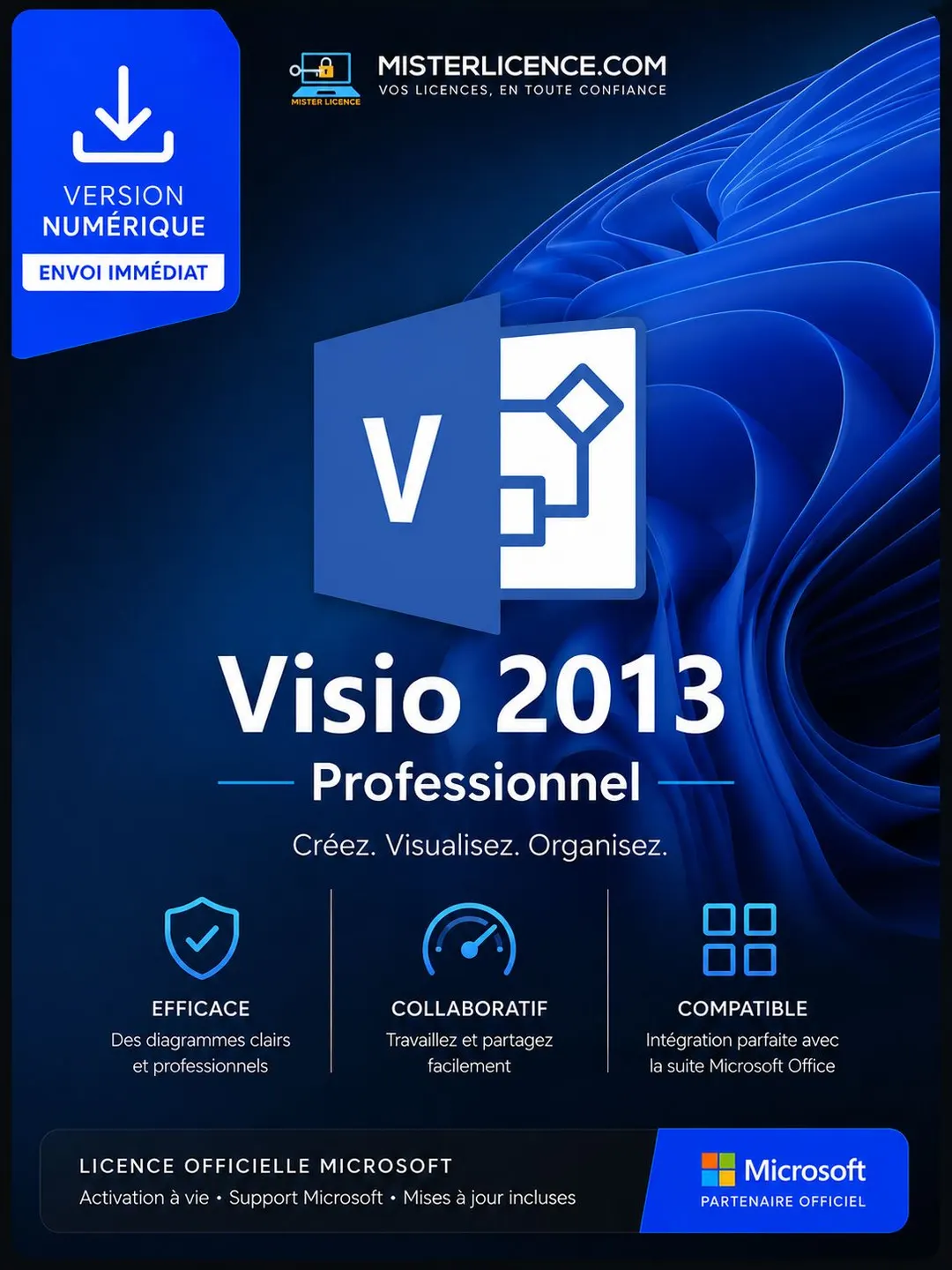 Visio 2013 Pro 5 PC