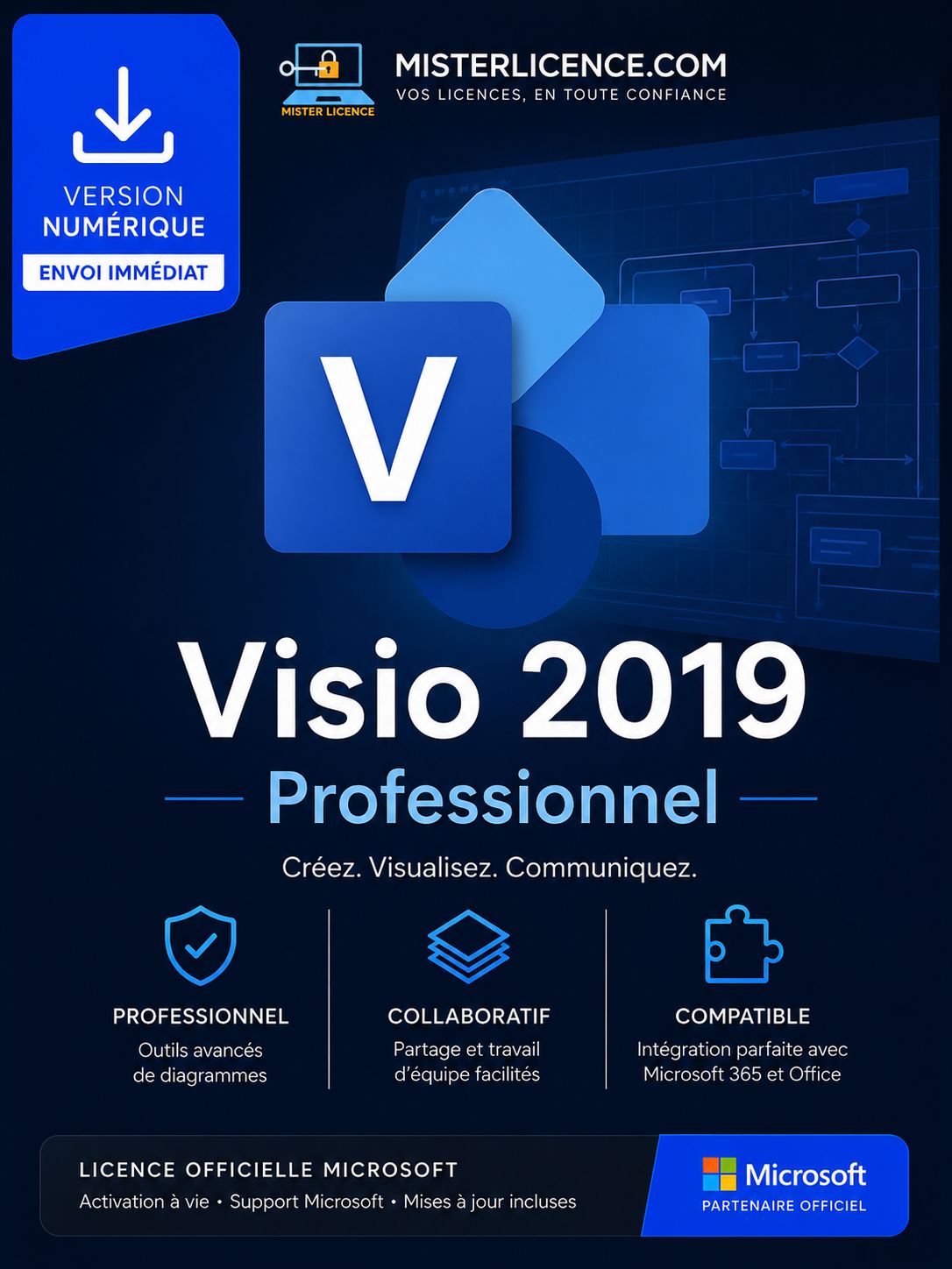 Visio 2019 Pro - Bind - Licence authentique